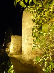 Carlos_Calvo_premio_ampa_ fotografia primera categoria web