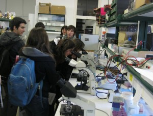 Ciencias IES Pedro de Luna en Veterinaria 1b-M