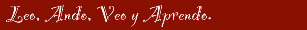 Logo Leo Ando Veo Aprendo